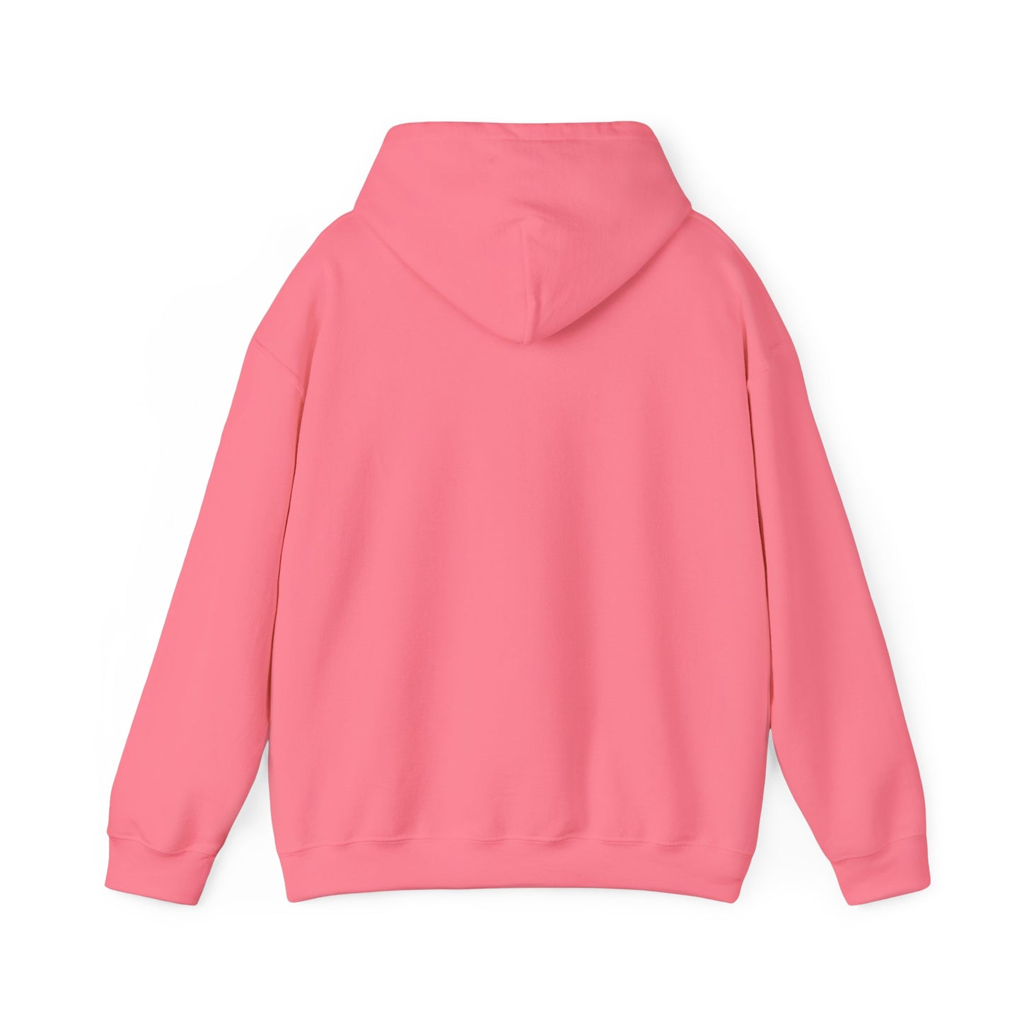 Cozy Hoodie Sweatshirt