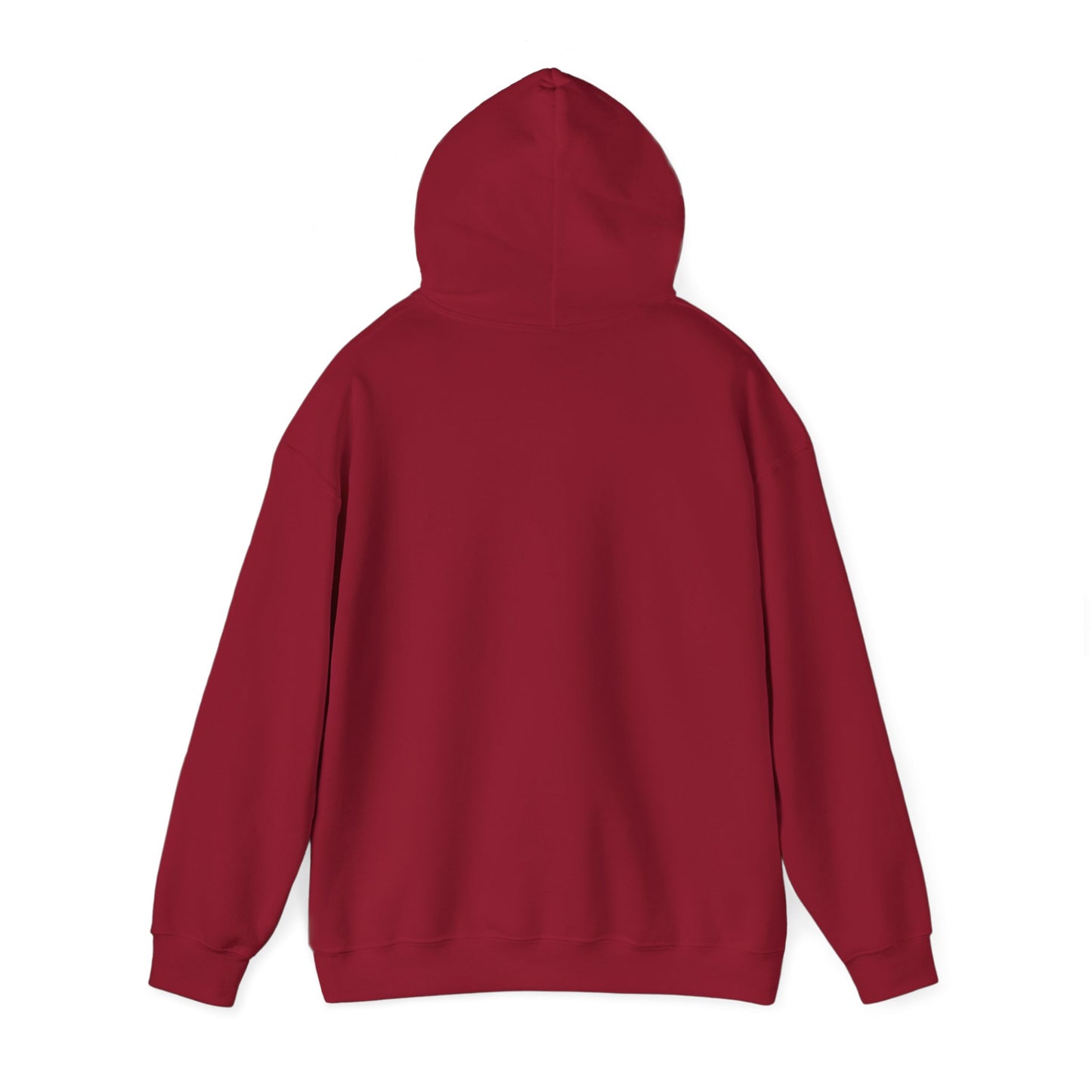 Cozy Hoodie Sweatshirt