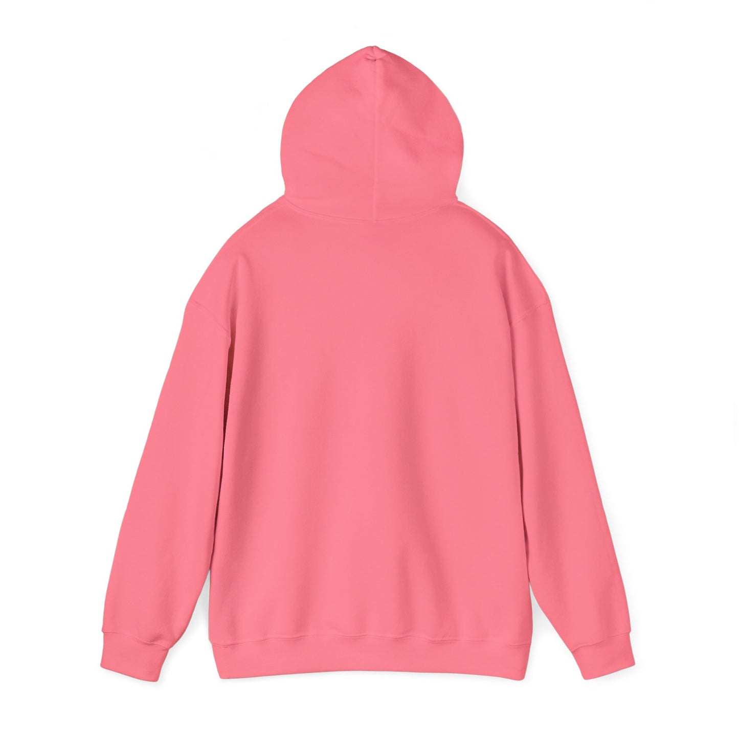 Cozy Hoodie Sweatshirt