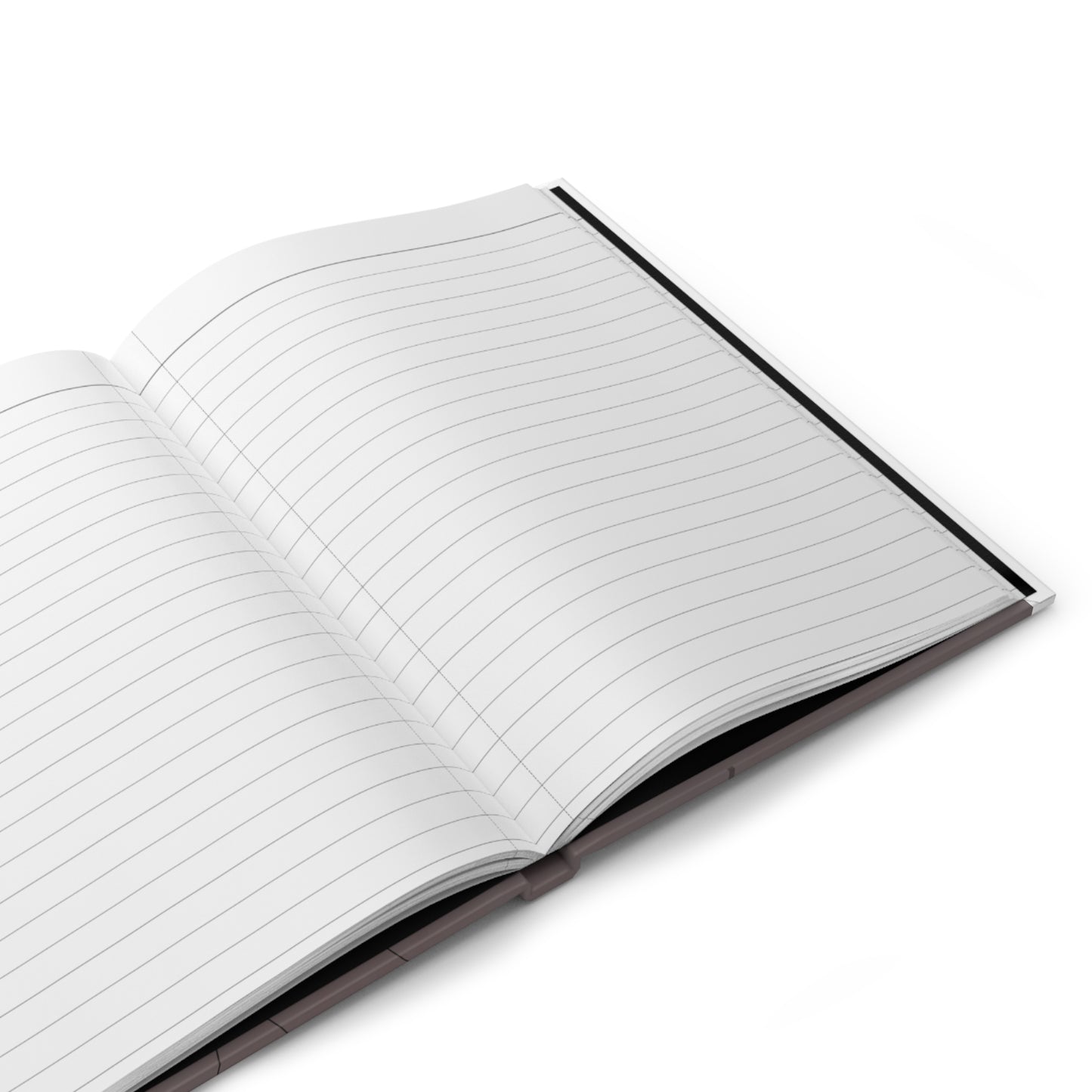 Manifesting Journal